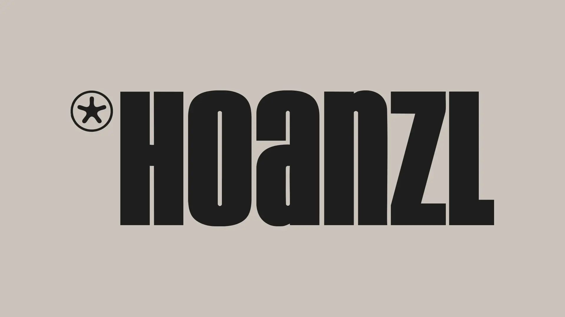 Logo Hoanzl